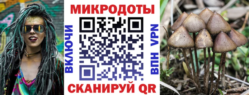 Псилоцибиновые грибы прущие грибы  Бабушкин 